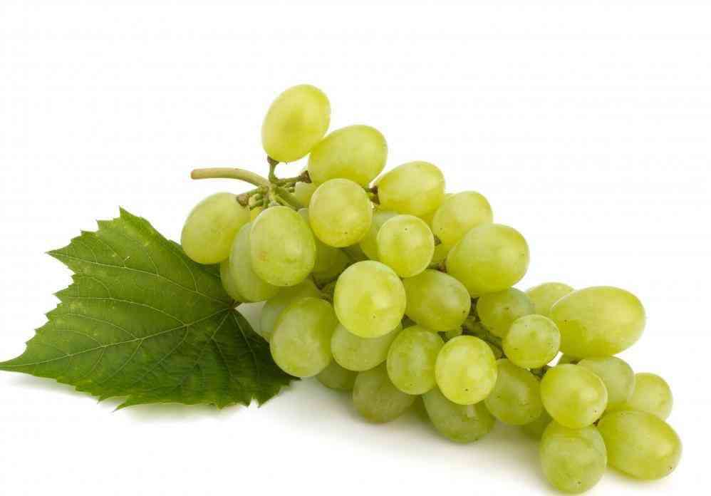 bundle-of-green-grapes