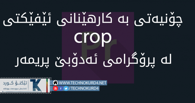 crop (1)