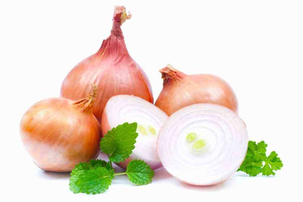 Fresh-Onions